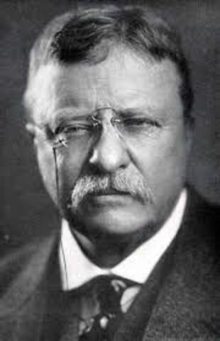 Theodore Roosevelt (1858-1919)