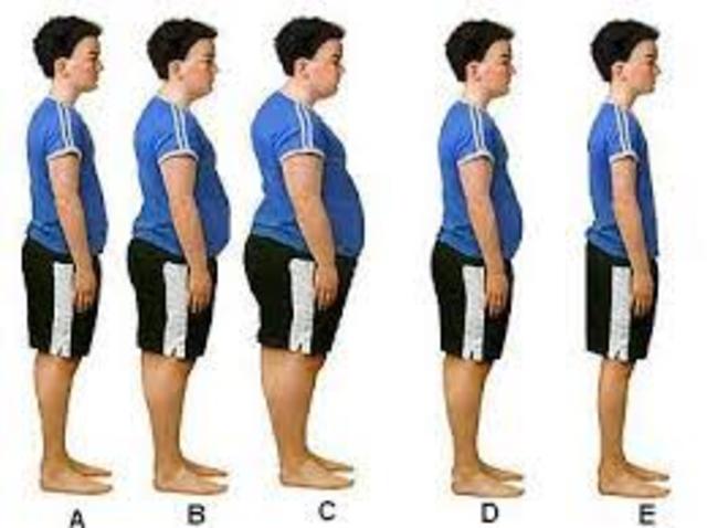 Transición alimentaria