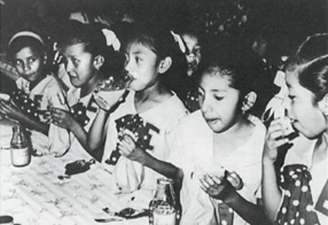 Desayunos escolares