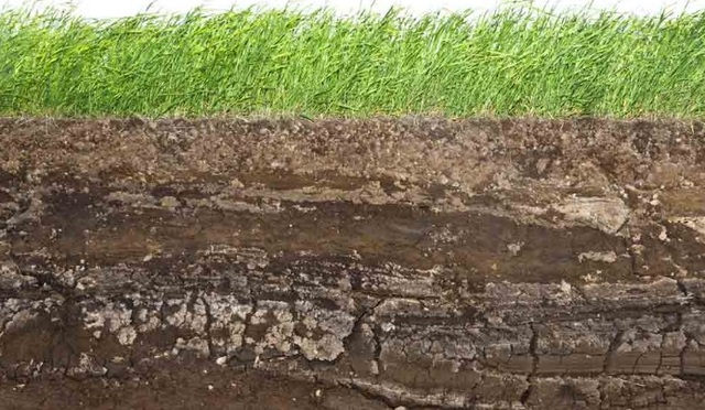 Concepto del suelo como reserva ecologica