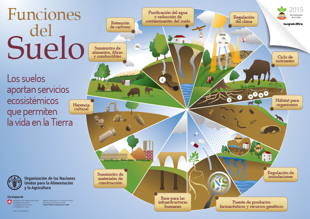 Funciones del suelo