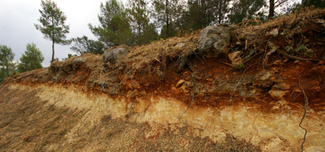 Definición Edafología