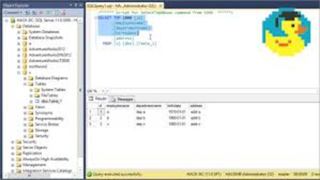 SQL (Structured Query Language)