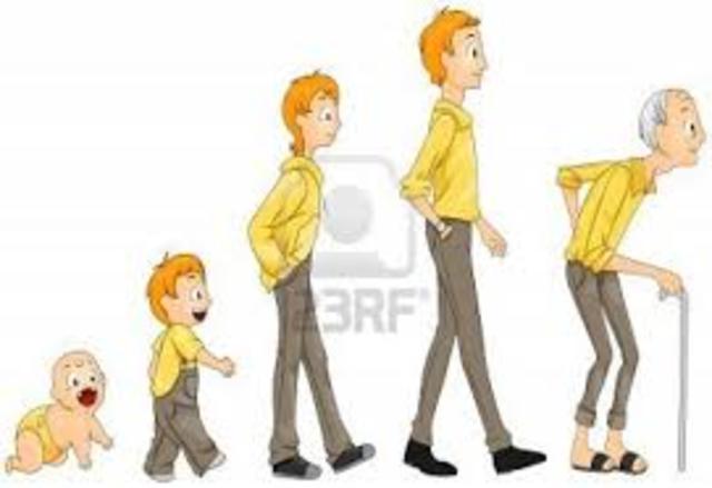 Desde los 7 años los niños eran contemplados en el grupo de los adultos.