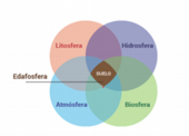 Se llega al reconocimiento de los suelos como entes naturales organizados, semejantes a las rocas, la flora y la fauna