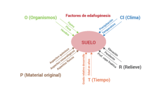 Se trata el suelo como un sistema