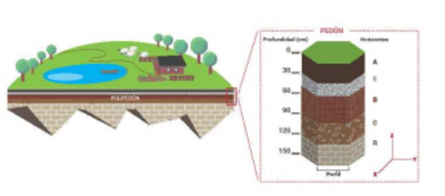 Se da una idea de la evolución vertiginosa del concepto del suelo