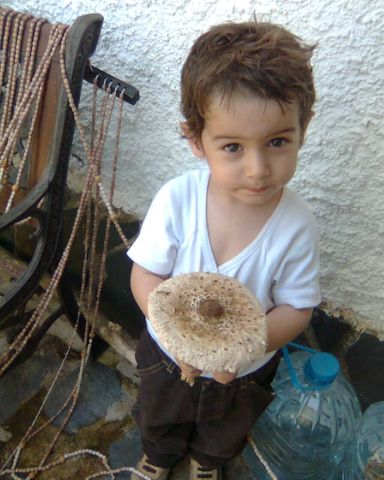 El meu primer dia a l'escola