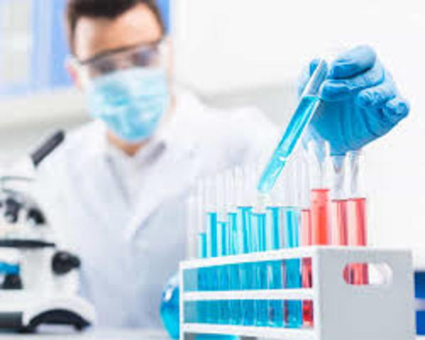 practica de laboratorio,