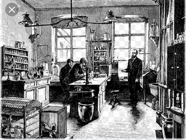 EDAD MODERNA : SIGLO DE  EXPERIMENTACIÓN