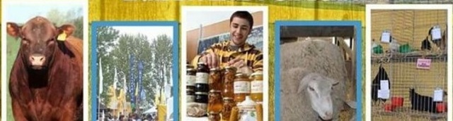 Creación del Comité Central Coordinador de Programas para el Mejoramiento del Ambiente