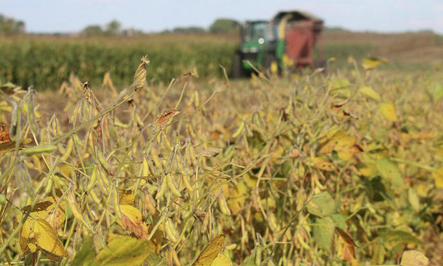 Another Harsh Drought