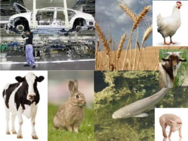 Declaración de Cocoyoc en México