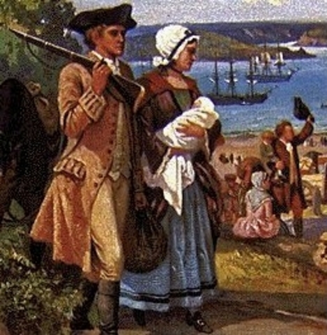 Des colonies en croissance