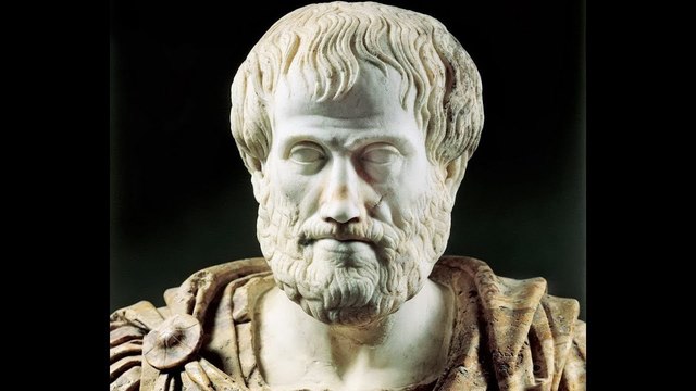 Aristóteles describió la cámara oscura.