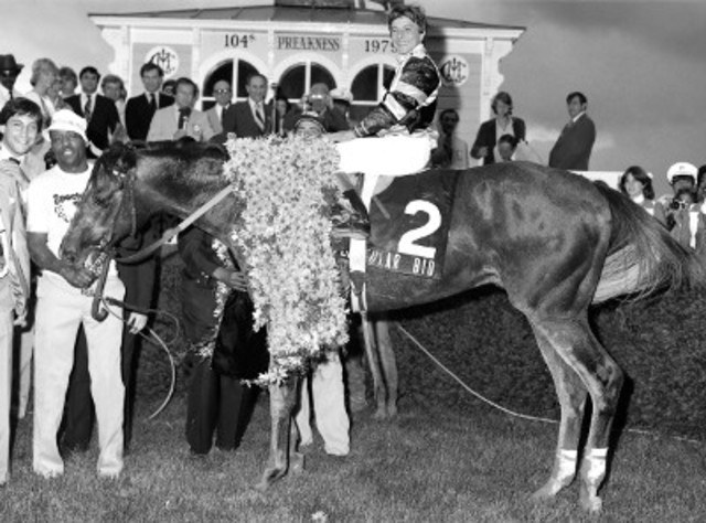 Wins Preakness Stakes