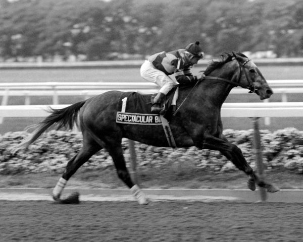 Wins Woodward Stakes