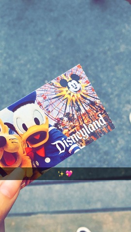 Disneyland with the family