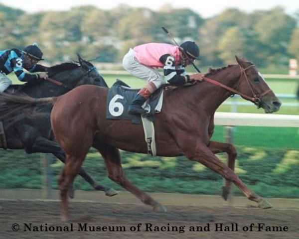 Finishes 2nd in Jockey Gold Cup