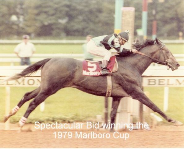 Wins Marlboro Cup