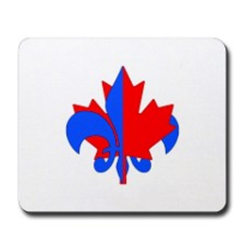 loi sur le langues oficielles