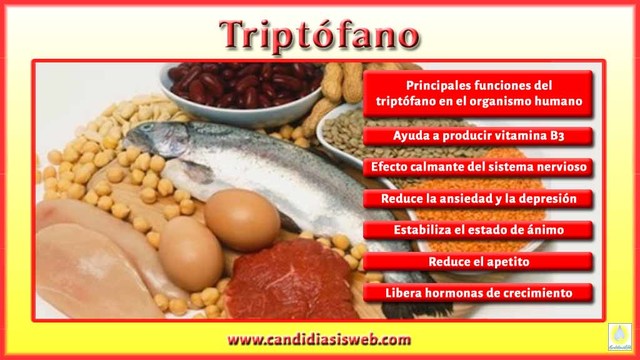 Principios del Siglo XXI