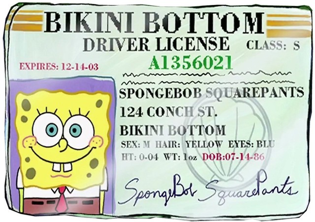 I get a driver's license