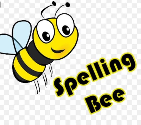 I won the spelling bee
