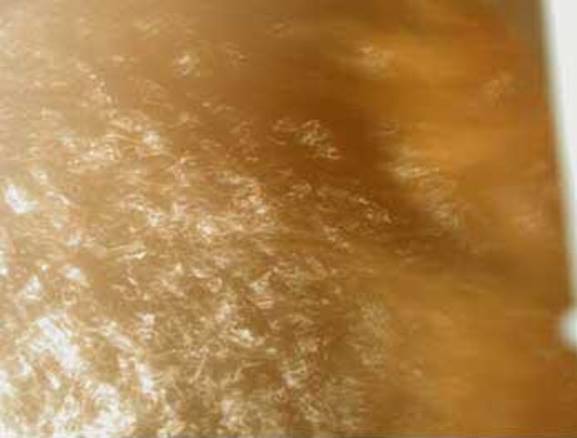 Making the Starter Wort