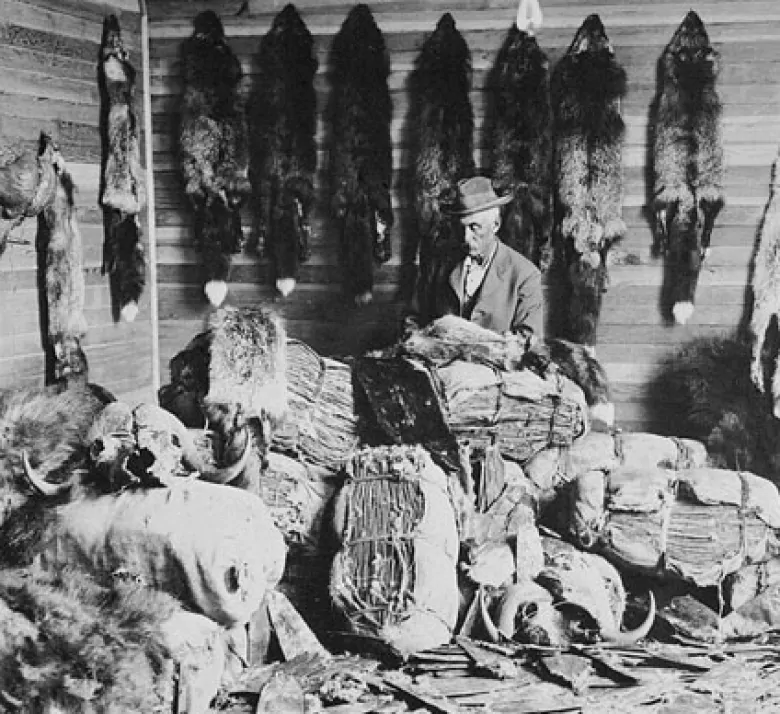 Cooking/Preparation Advancements