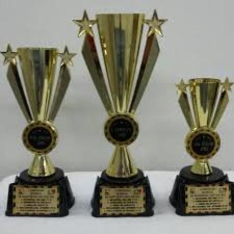 Fulfilling my dreams