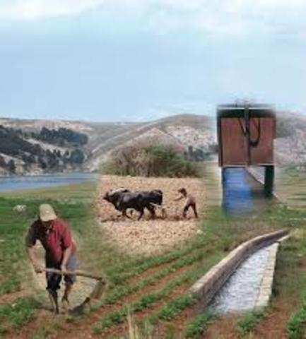 Industrialización rural y las obras de irrigación.