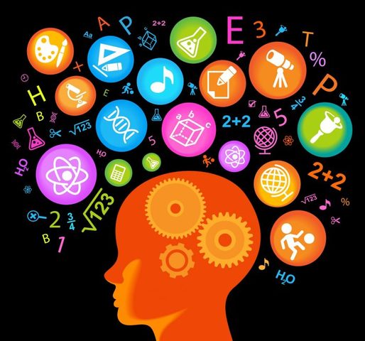 Objetos de conocimiento (2000)