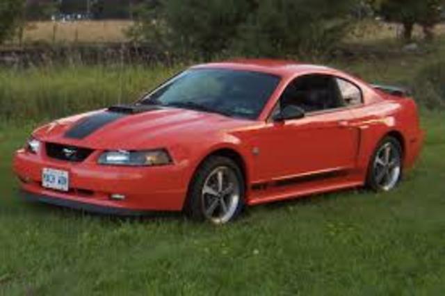 mustan 2004