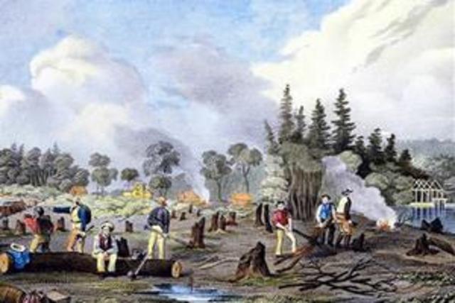 Preparation and Cooking of Traditional Dishes