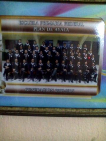 My experience in primary