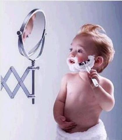 Morfologia general de los organismos