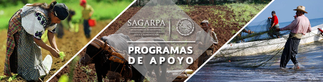 Programa de apoyos directos y productivos al campo.
