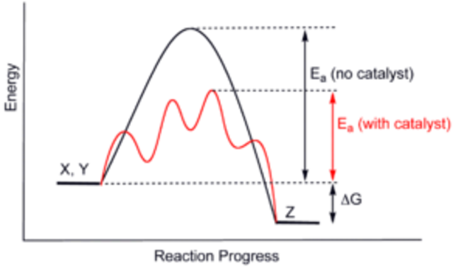 Reacciones catalíticas