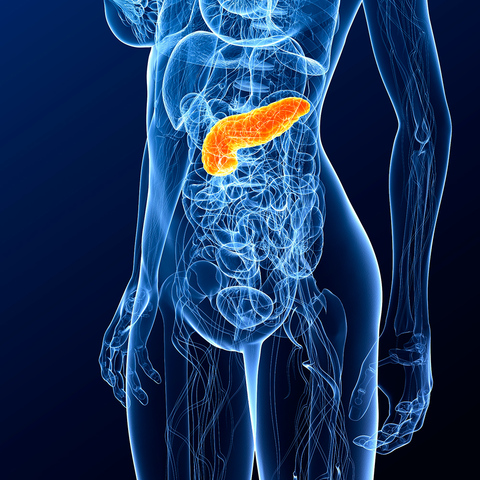 Enzimas pancreáticas