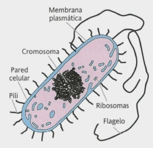 Instituto de Investigaciones genómicas y otros.