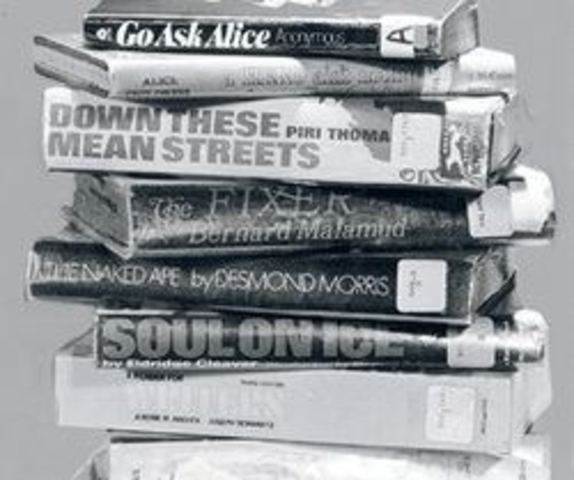 Island Trees School District v. Pico