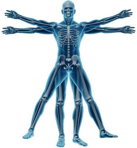 Importancia de la Medicina en la Sociedad