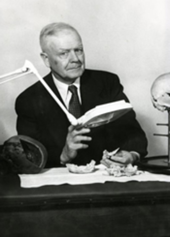 Bases de la osteopatía craneosacral