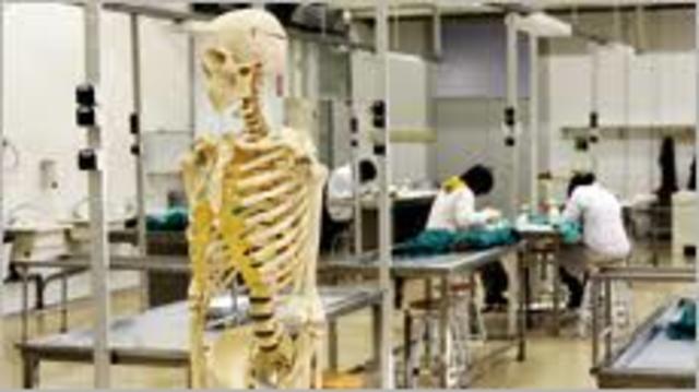 Escuela de Osteopatía en la Universidad Autónoma de Barcelona