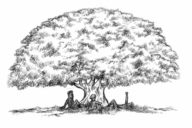 Iniciación como Político