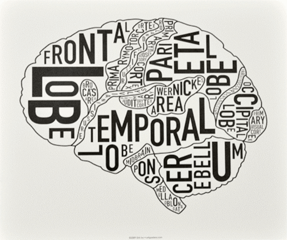 Apareció Neuropsychologia.