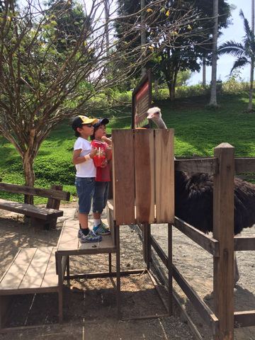 Nacimiento de mis sobrinos