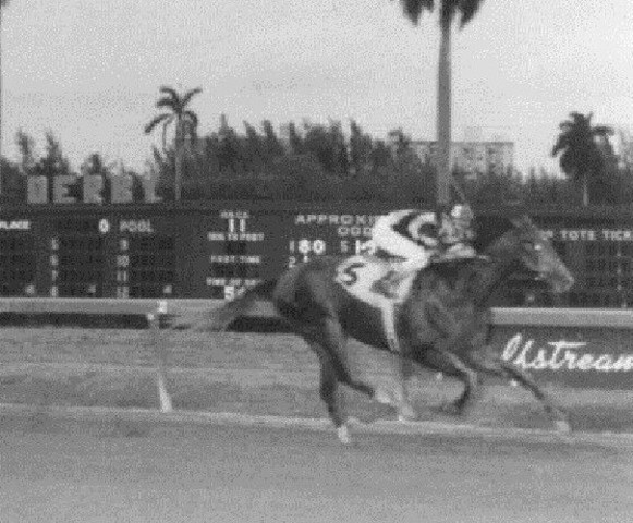 Wins Florida Derby