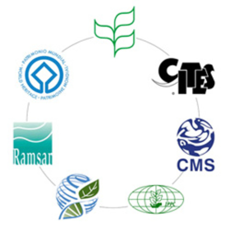 Desarrollo de leyes internacionales de conservación